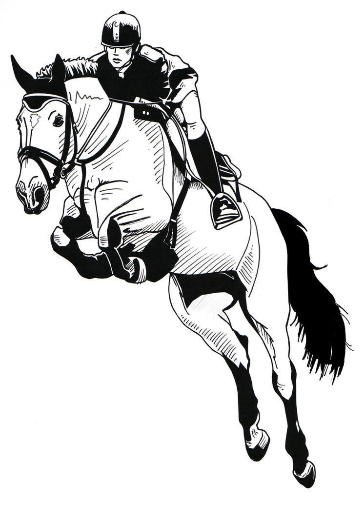 show jumping clipart - photo #26