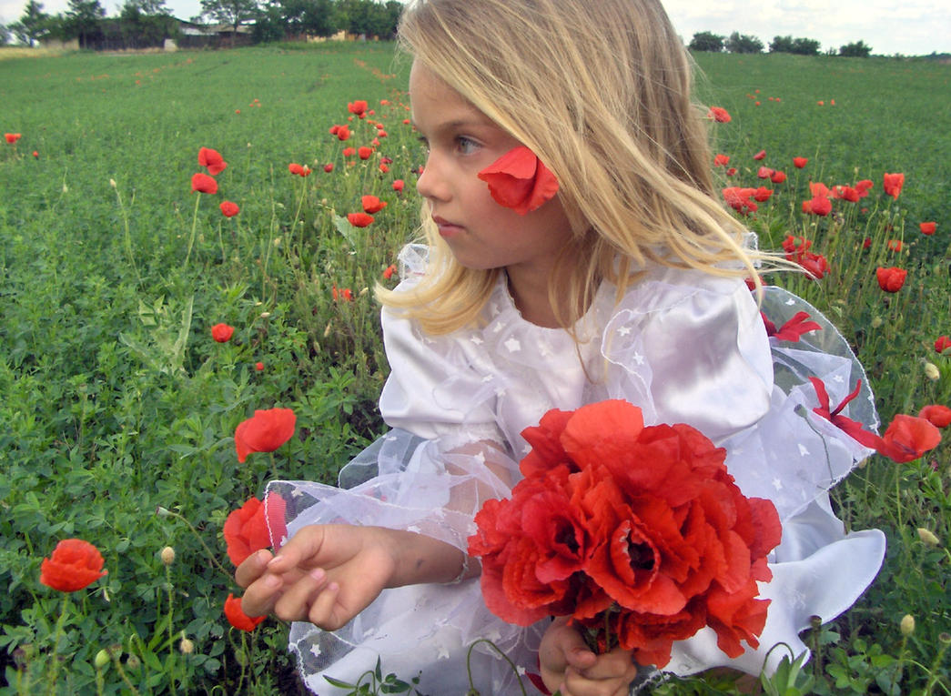 Poppy girl 2 - stock by little-girl-stock on DeviantArt