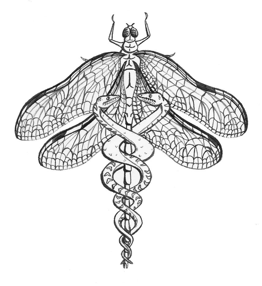 Dragonfly Cadaceus - dragonfly tattoo