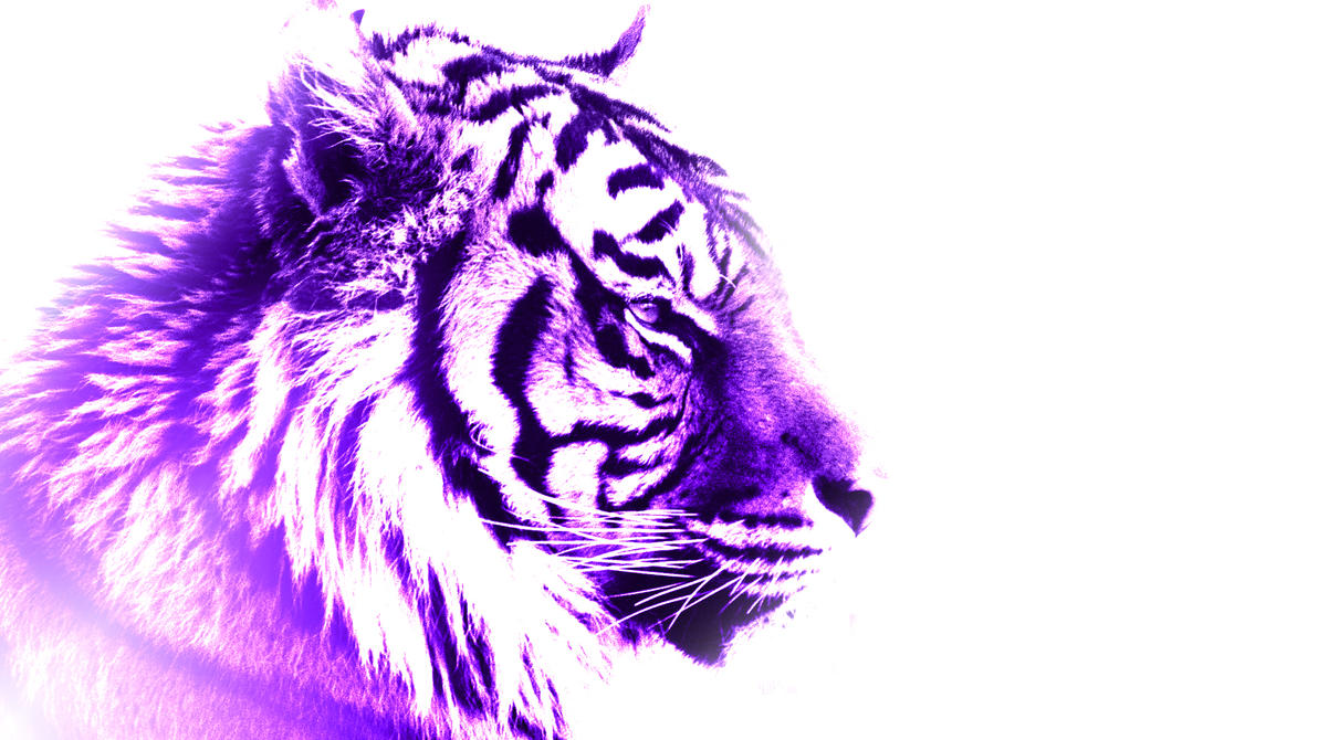 purple_tiger_by_flamingshrapnel-d5jxlec.jpg