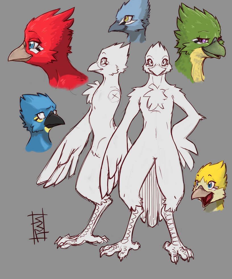 anthro_bird_sketches_by_packmind-d7a3ces.png
