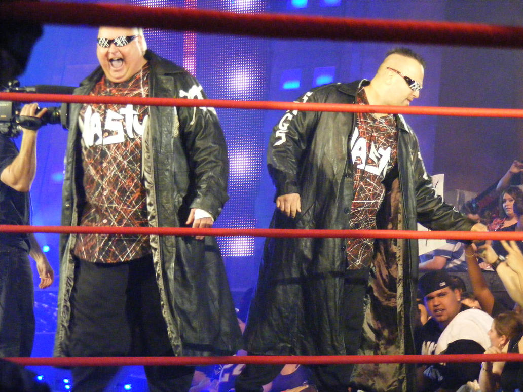 TNA_Debut_of_the_Nasty_Boys_by_KnightNephrite.jpg