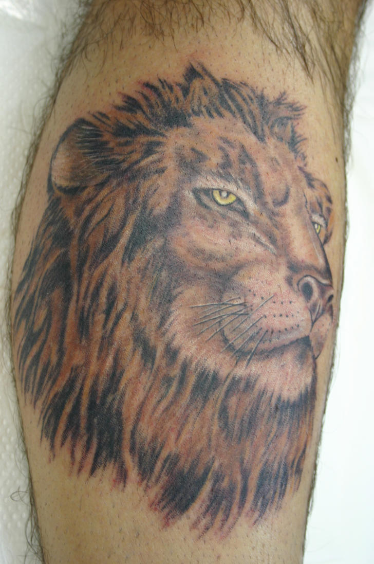 lion tattoos