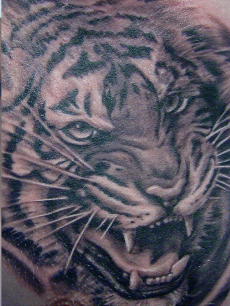 tiger tattoo by