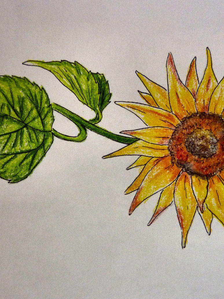 Sun Flower Tattoo | Flower Tattoo
