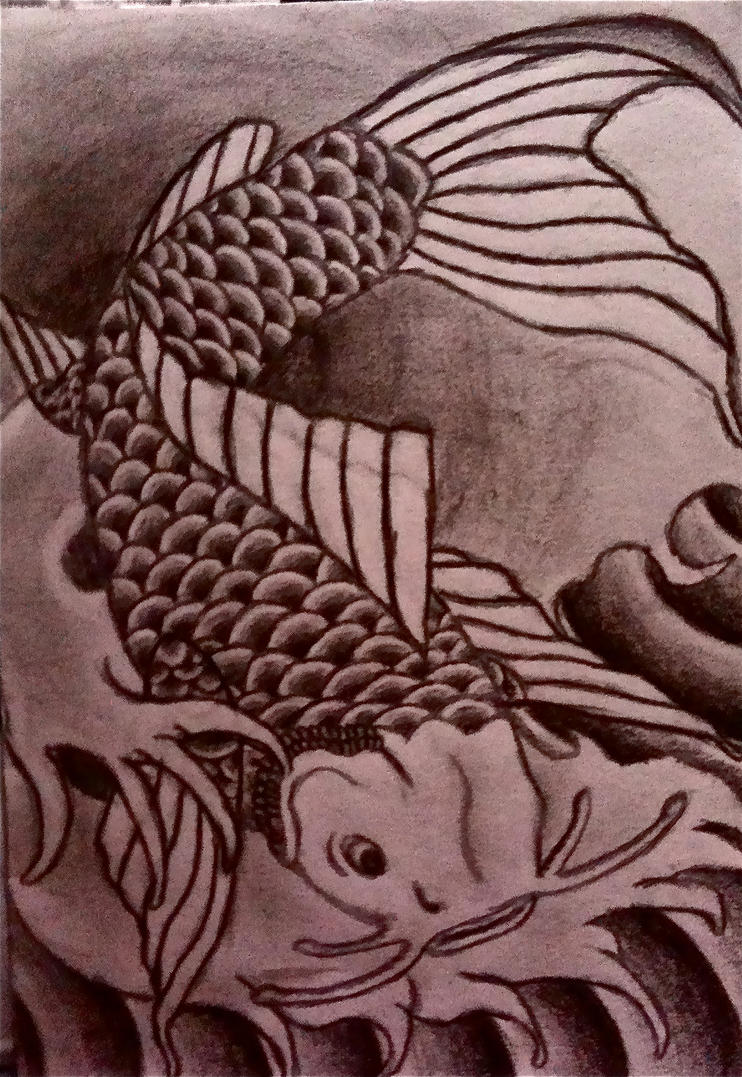 koi fish sketch by