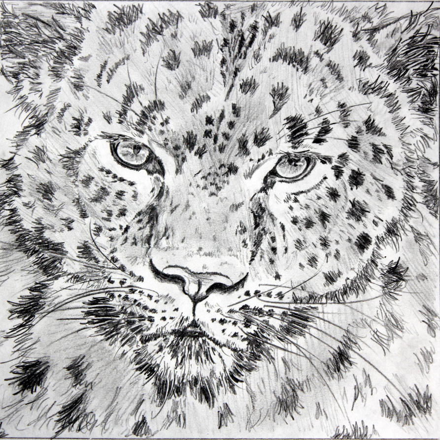 Amur Leopard by lilbenger on deviantART