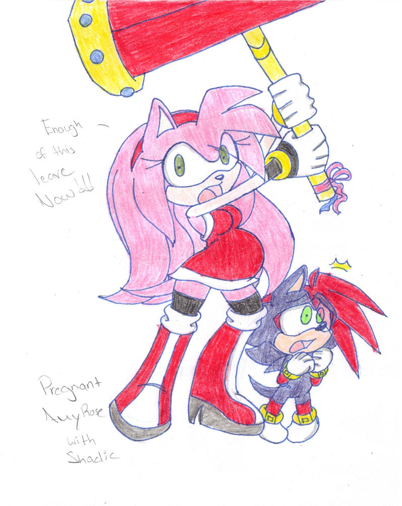 pregnant_amy_rose_and_shadic_by_narcotize_nagini-d50yo3g.jpg