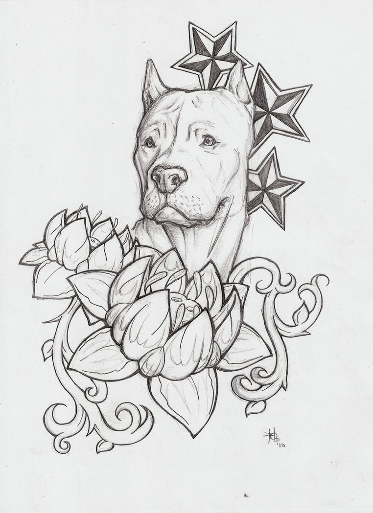 new pitbull drawing!!! by brooklynseymour on DeviantArt
