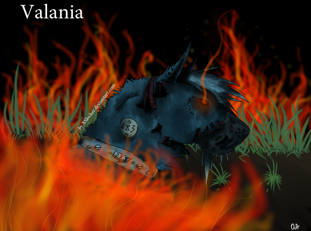 Valania wolf by XSlocker