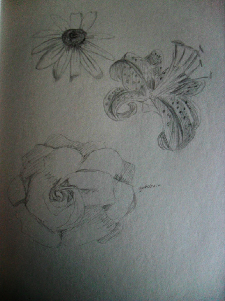flower sketches | Flower Tattoo