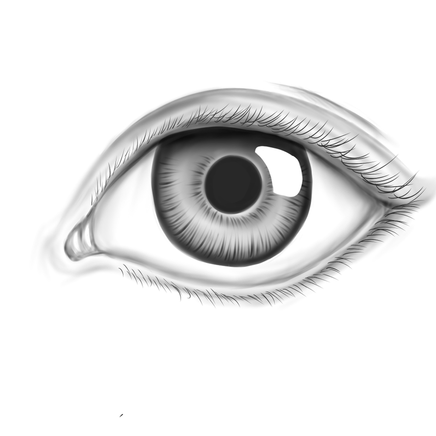realistic_eye_by_appletumble-d5kcbb1.png
