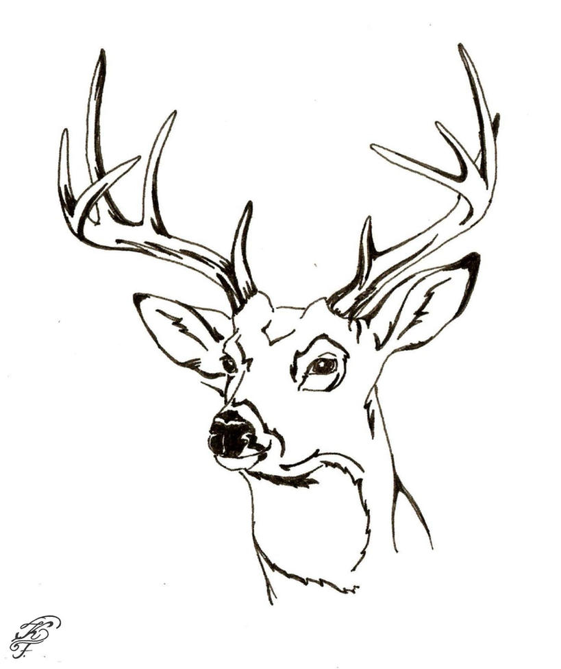 deer head coloring pages - photo #10