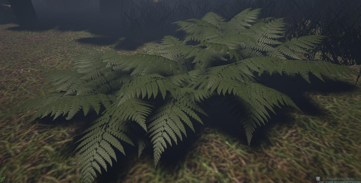ferns_by_captainapoc-d7vdkft.jpg